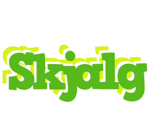 Skjalg picnic logo