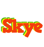 Skye bbq logo