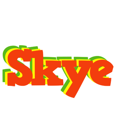 Skye bbq logo