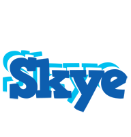 Skye business logo