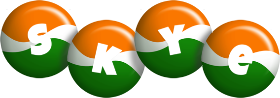 Skye india logo