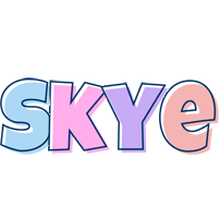 Skye pastel logo