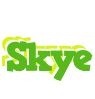 Skye picnic logo