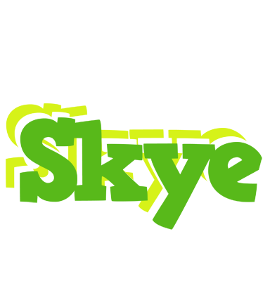 Skye picnic logo