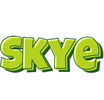 Skye summer logo