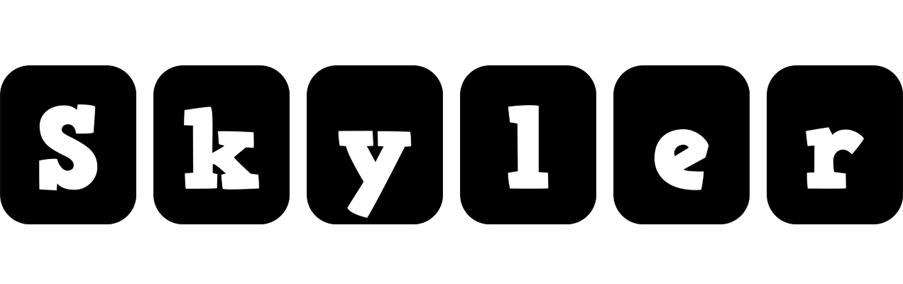 Skyler box logo