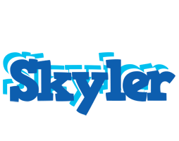 Skyler business logo
