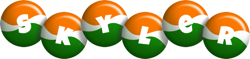 Skyler india logo