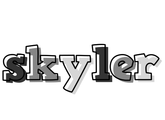 Skyler night logo