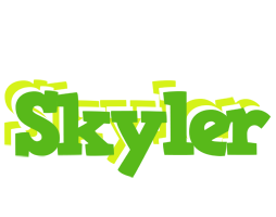 Skyler picnic logo