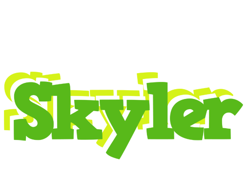 Skyler picnic logo