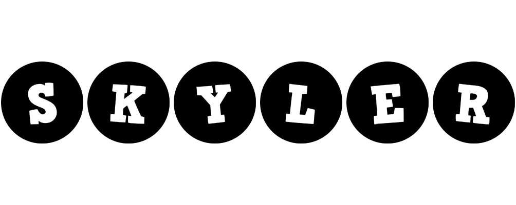 Skyler tools logo