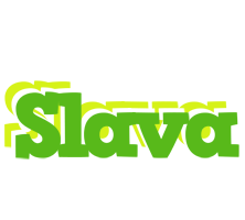 Slava picnic logo