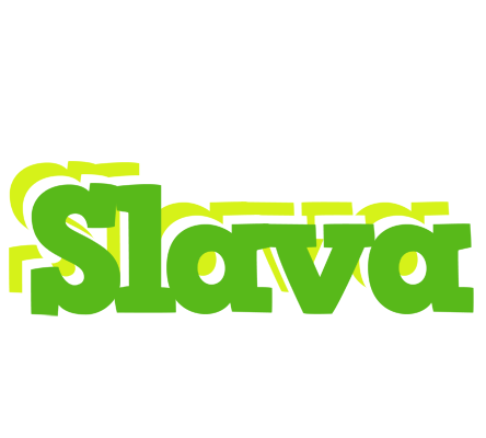 Slava picnic logo
