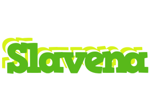 Slavena picnic logo