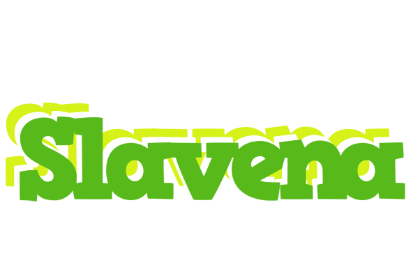 Slavena picnic logo