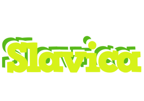 Slavica citrus logo