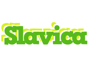 Slavica picnic logo
