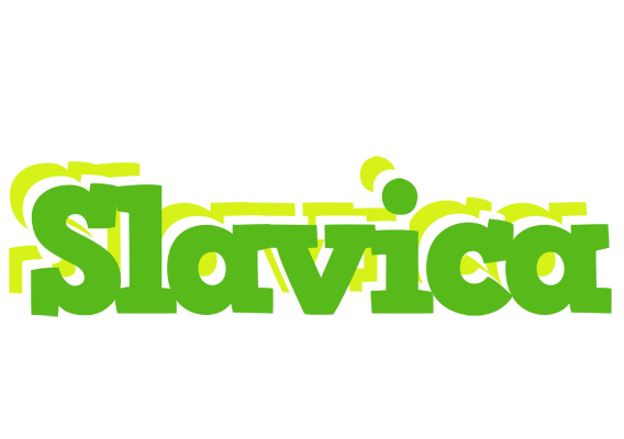 Slavica picnic logo