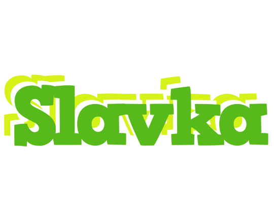 Slavka picnic logo