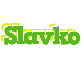 Slavko picnic logo