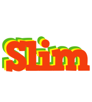 Slim bbq logo