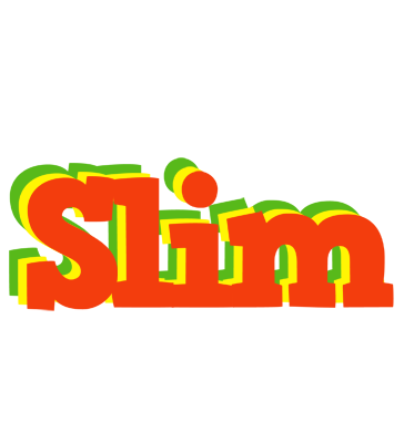 Slim bbq logo
