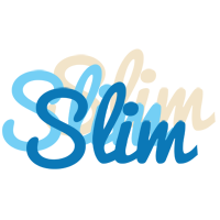 Slim breeze logo