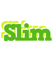 Slim picnic logo