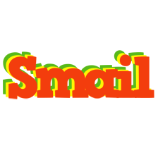 Smail bbq logo