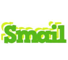 Smail picnic logo