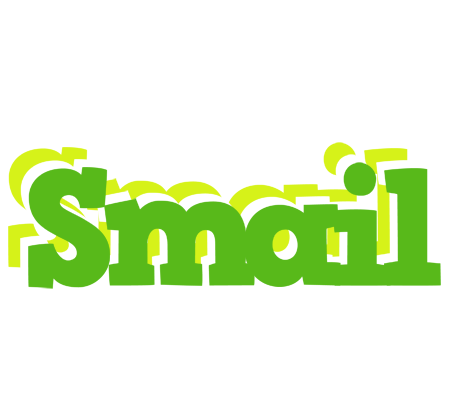 Smail picnic logo