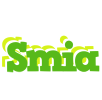 Smia picnic logo