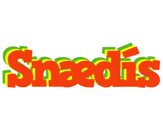 Snædís bbq logo