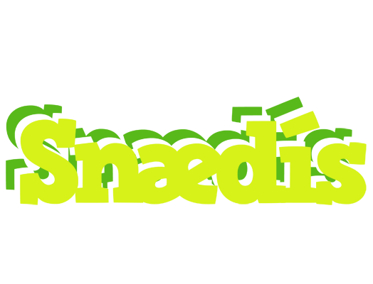 Snædís citrus logo