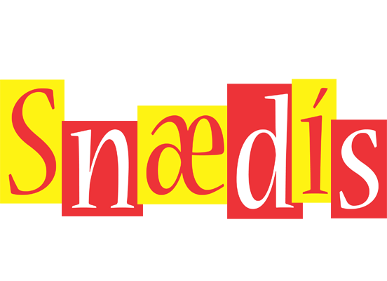 Snædís errors logo