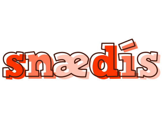 Snædís paint logo