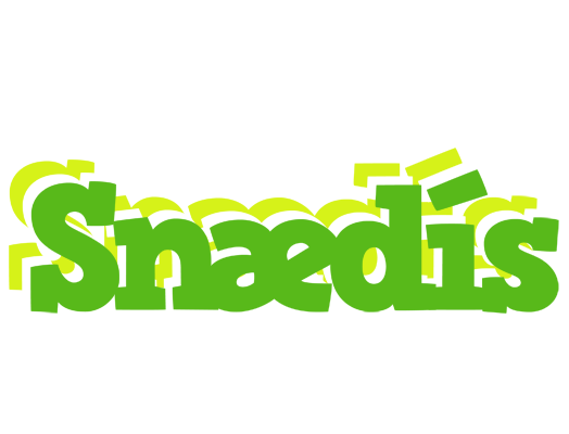 Snædís picnic logo