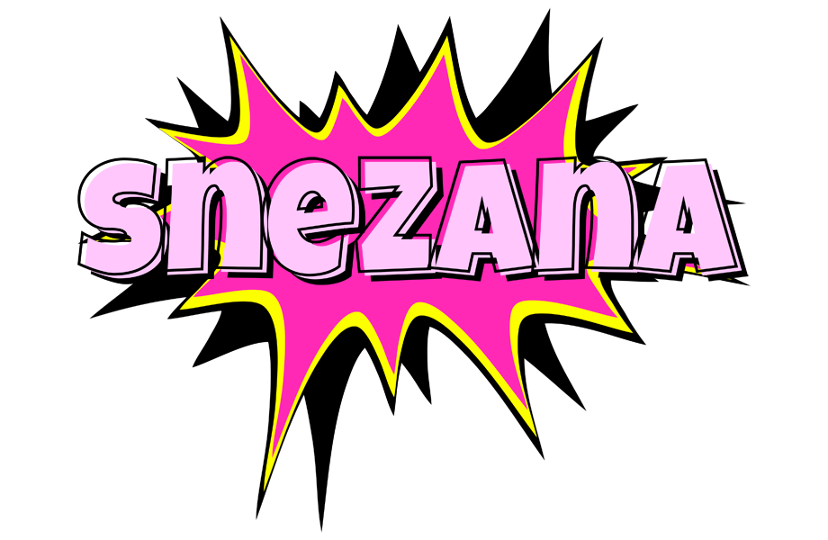 Snezana badabing logo
