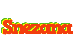 Snezana bbq logo