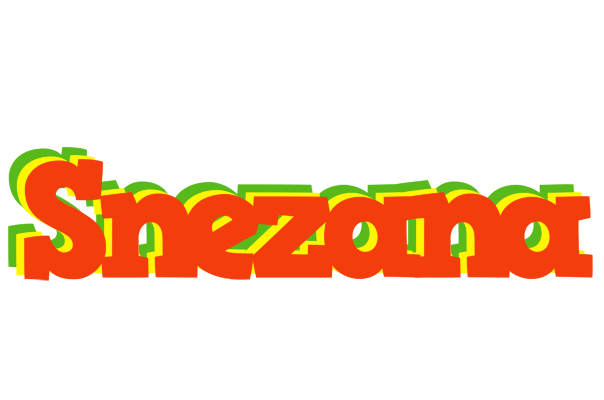 Snezana bbq logo