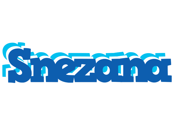 Snezana business logo