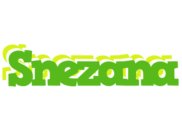 Snezana picnic logo