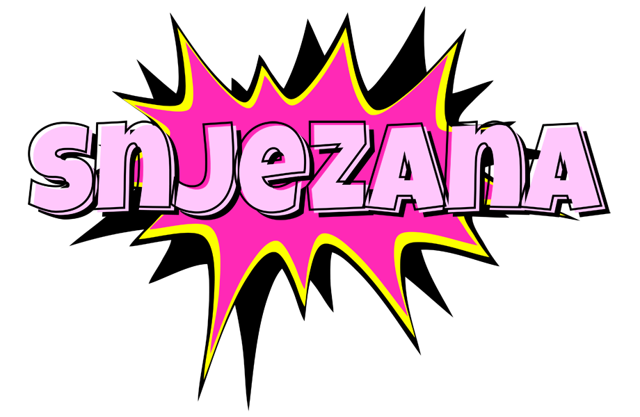 Snjezana badabing logo