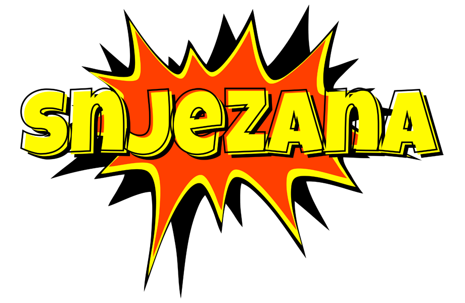 Snjezana bazinga logo