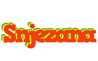 Snjezana bbq logo