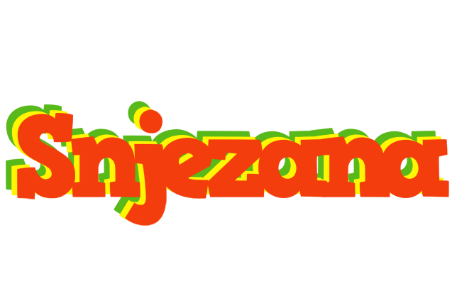 Snjezana bbq logo