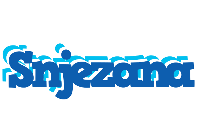 Snjezana business logo