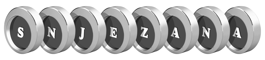 Snjezana coins logo