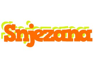 Snjezana healthy logo